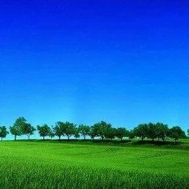 特殊的卦例__忧虑卦