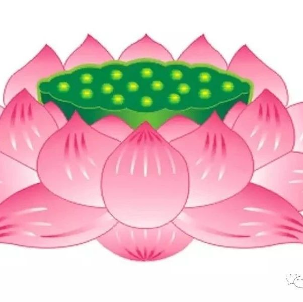 佛家对堕胎的说法，堕胎的果报是什么？
