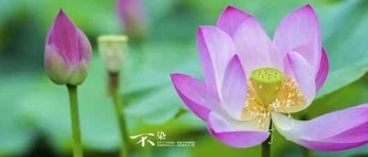 一个六爻婚姻卦的逻辑重构
