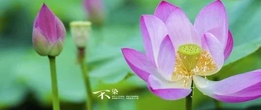 最近三个六爻占卜卦象的经典解析